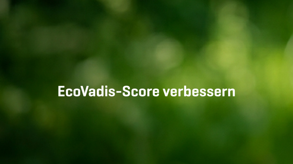 EcoVadis-Score verbessern