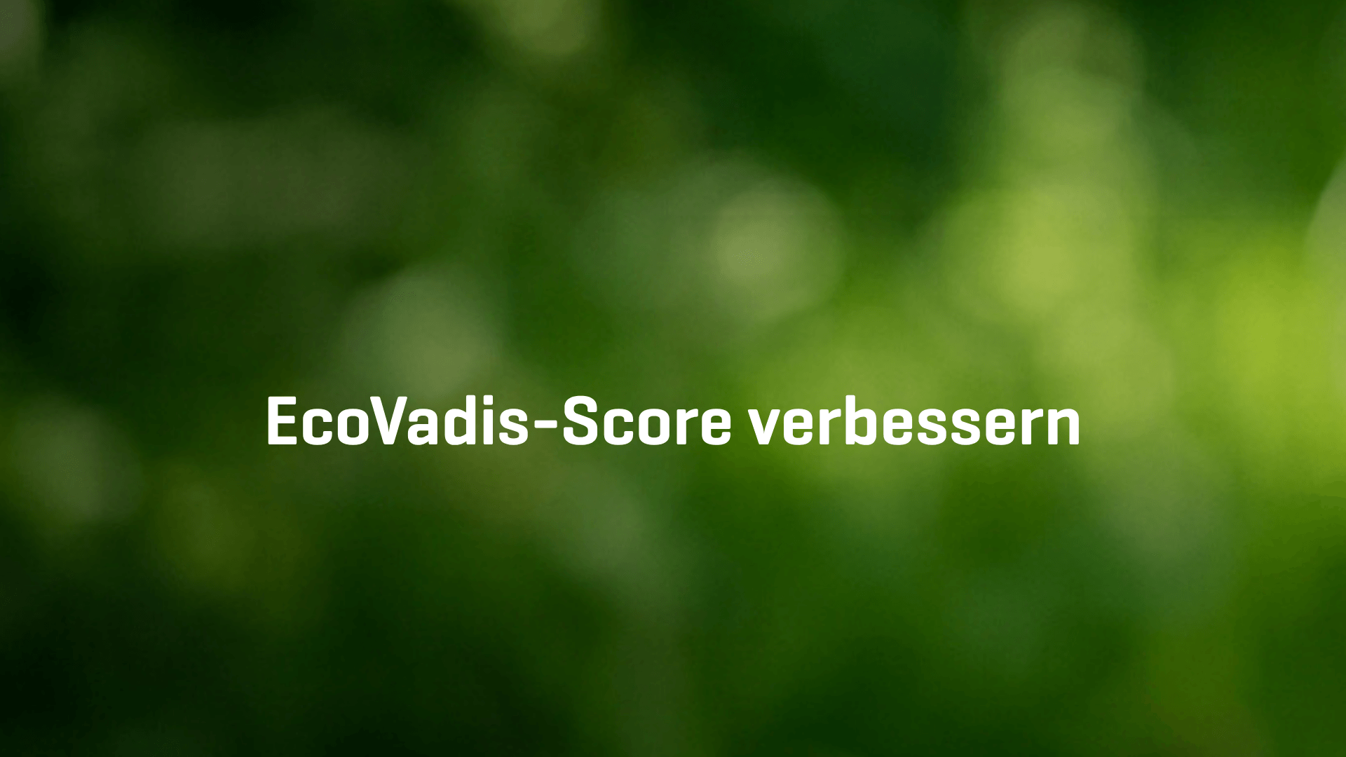 EcoVadis-Score verbessern